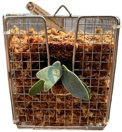 Eventerde Kit de Montage Fougère Platycerium, Panier Vertical Suspendu antirouille - Panier Vertical pour orchidées de Jardin, Balcon Chambre Salle