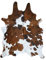 Decohides F203 Kuhfell Tricolor