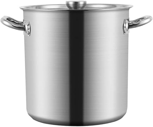 Pentole in acciaio inox pentola per birra casalinga pentola da cucina grandi pentole con coperchio/31 x 32 cm