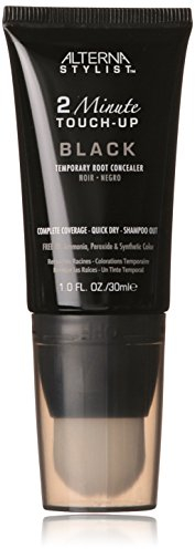 ALTERNA 2 Minute Root Touch-Up BLACK 30 ml