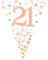 21st Birthday Rose Gold Birthday Party Flag Banner Bunting Age 21