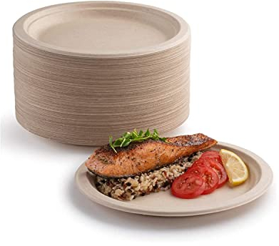 YIEN Lot de 100 assiettes en carton super rigides % biodégradables et compostables respectueuses l'environnement très résistantes recyclables, parfaites pour les pique-niques barbecues (22,9 cm)