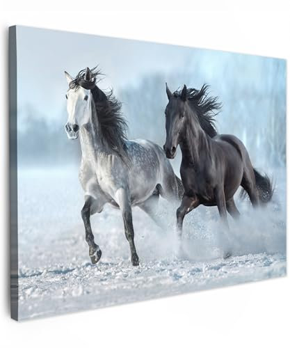 MuchoWow© Impression sur Toile Decoration Murale Peinture 40x30 cm Tableaux Decoratifs Muraux Déco Chambre Tableau Salon Chevaux - Hiver - Animaux - Nature - Neige