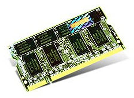 Transcend TS32MSD64V3G - Memoria RAM de 256 MB para ASUS (PC2700 DDR, 200 Pin SO-DIMM)