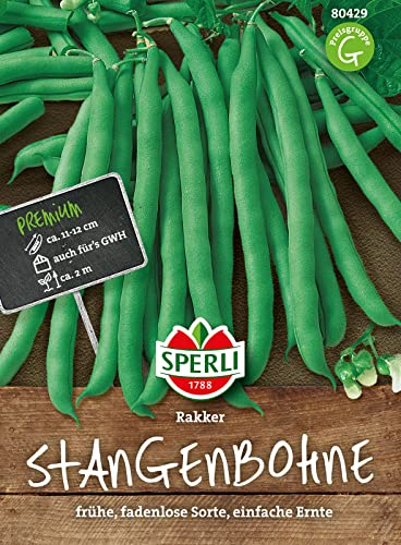 Sperli Stangenbohne Rakker