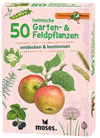 moses. 9779 Expedition Natur 50 heimische Garten und Feldpflanzen | Bestimmungskarten im Set | Mit spannenden Quizfragen, Yellow
