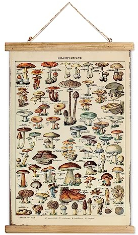 XIAOAIKA Vintage Pilz Poster mit Holzrahmen, Retro Stil Wanddekoration Kunst Malerei, Muster gedruckt auf Leinen ohne Verblassen, fertig zum Aufhängen (50 x 75 cm)