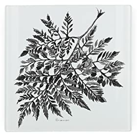 Fern Glass Hot Pot Stand - Trivet Mat Heat Resistant Multi-Purpose Non-slip Table Place Mats for Hot Pot Holder, Pans, Dishes, Spoon rest, Coasters for Kitchen Cooking & Dining 20cm x 20cm (8 x 8)