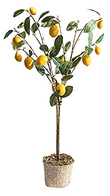 Fake Plants The Artificial Plant Small Potted Plant Decorates The Artificial Flower Lemon Tree, 37 Inches High, It Is A Good Choice Both Indoors and Outdoors. Bonsai Tree