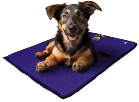 EVE Textile Hundematte | Katzenmatte | Hundekissen | Katzenkissen | Hundebett | Katzenbett | Matte für Hunde und Katzen | Beidseitig Verwendbar | Atmungsaktiv | Kühlend | 50x70x2 cm (Lila)