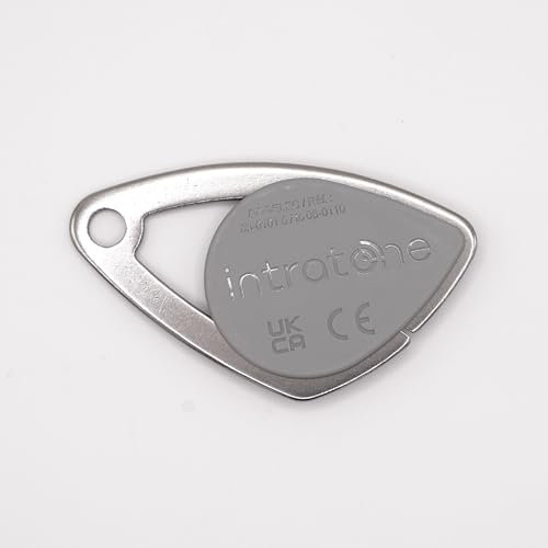 Badge de Proximité Intratone - Couleurs aux choix - Sécurisé RFID | Contrôlé pour Copropriétés et Immeubles | Programmation par Syndic ou Installateur Agréé + 1 Porte-clés DOMOBIP (Gris - Lot de 1)