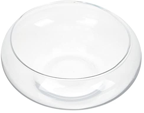 Operitacx Pot De Fleur en Verre Pot De Fleur Transparent Vase en Verre Bol s De Pépinière Terrarium Bol en Paysage Aquarium Jardinière Terrarium Rond Bureau Un Sphérique Chine