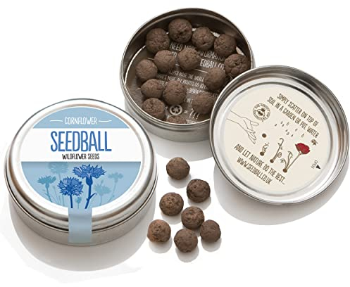 SEEDBALL Cornflower Seed Bombs (Wild Flower Tin) – 20 Seed Balls Per Pack | British Wildflower Seeds - Beautiful Blue Cornflower Seeds | Seed Bomb for Bees, Butterflies, Birds & Garden Wildlife