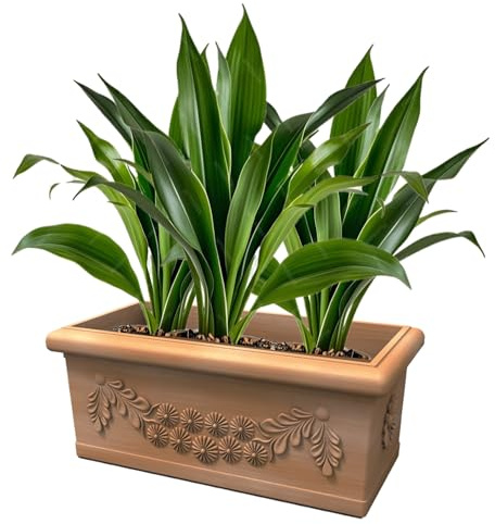 Kloris Jardinière rectangulaire en résine 80 cm, Couleur Antique, polyéthylène, Design Classique pour l'extérieur, 45 litres, 80 x 40 cm, Hauteur 34 cm, fabriqué en Italie