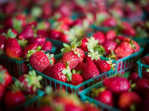 Erwachsenenpuzzle ab 14 Jahren, Erdbeeren, Beeren, Essen 70x50cm