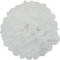 Creativery 10 Papier Pompons 35cm NEU (weiß 029) // Pompoms Bommel Kugel Seidenpapier Pom Pom Deko Hängedeko Raumdeko Blumen Pompon