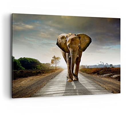 Bilder auf Leinwand 100x70cm Leinwandbild Elefant Straße Landschaft Groß Wanddeko Bild Schlafzimmer Küche Deko Wandbilder Dekoration Wohnzimmer Wall Decor Canvas Wand Kunstdruck Art AA100x70-0214