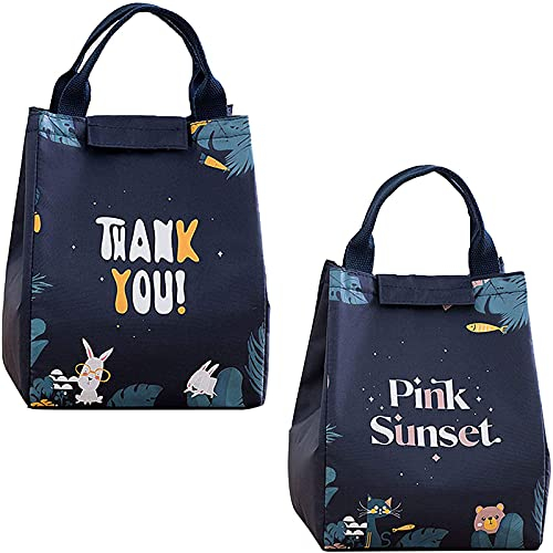 dcas 2 Stück Isolierte Lunch Tasche, Thermotasche Mit Folienfutter, Kleine Isolierte Kühltasche Für Arbeit, Faltbare Picknick-Handtasche, Hohe Kapazität, Für Schule,Picknick (7,87 x 6,69 x 9,25Zoll)