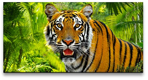 Paul Sinus Leinwandbild 120x60cm Wilder Tiger Raubkatze Dschungel Wildnis Indien