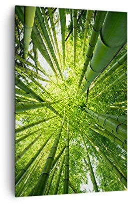 ARTTOR Bilder auf Leinwand 80x120 cm Wandbild Landschaften Wald - 4235