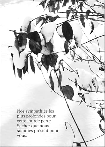 Im 5er Set: Tröstende französische Trauerkarte mit Winterlaub: Nos Sympathies Les Plus profondes Pour cette lourde perte. Sachez que Nous sommes présent Pour Vous.