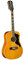 EKO Ranger XII VR EQ NTS Elektroakustische Gitarre 12 Saiten