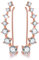 ✦Weihnachtsgeschenke für Frauen✦Winglove Ohrringe Silber 925 CZ Simulierte Diamantohr-Crawler-Manschetten Ohrklemmen Ohrclip Zirkonia Ohrringe Geschenke für Frauen.（Rose Gold-White Zircon）