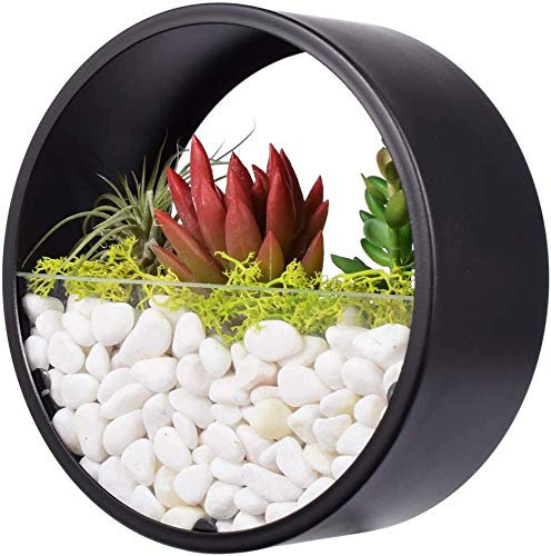 Ecosides Florero de Pared Vidrio Metal Redondo,Flor Maceta de Pared,Macetero Pared,Terrario de Pared,Suculento Contenedor Vertical Decor para Sala de Estar,Cocina,Balcón,Escalera (Negro, 15 cm)