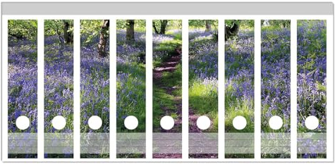 Wallario Ordnerrücken Sticker Blaues Hasenglöckchen im Wald - Größe 9 Stück, Rückenschilder für 9 breite Ordner, Klebeetiketten