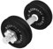 Guss Kurzhantel-Set 12,5Kg (1 x Kurzhantelstange 35cm und 4x2,5Kg Hantelscheiben) Hantelset Hanteln Gewichte