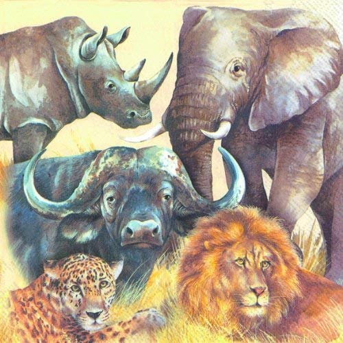 Big Five Löwe Buffalo Elefant Rhino und Leopard Papier 3-lagig Servietten 33 cm Lunch quadratisch 20 in einer Packung
