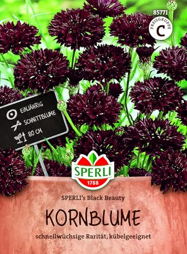 Sperli Kornblumensamen SPERLI's Black Beauty 85771, Sommerblumensaat | Kornblume mit dunklen fast schwarzen Blüten, einjährig