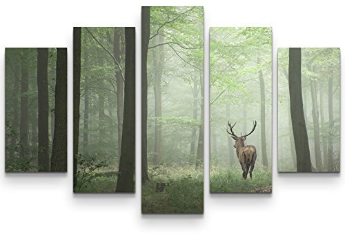 Paul Sinus Art Leinwandbilder | Bilder Leinwand 160x100cm Hirsch im Wald