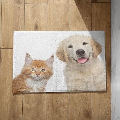EHOMERY Dirt Trapper Door Mats Indoor Mats Camping Dog Cat Personalised Doormats Inside Large Doormat Indoor 40x60cm, Non-Slip Plush Cotton Decor Doormat