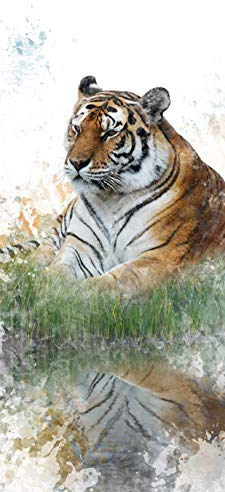 Bilderdepot24 Türtapete Aquarellbild Tiger II 90 x 200 cm - einteilig Türaufkleber Türfolie Türposter - Wasserfarbe Aquarell Tier Raubtier Asien