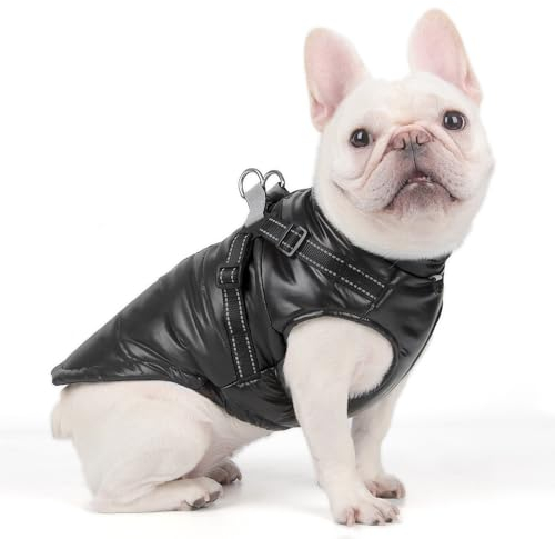 DoggieKit Hundemantel Winter Warm Gepolstert Puffer Pet KostümHund Kleidung Winterweste Hundejacke Wintermäntel wasserdichte Warme Jacke Sweater für Kleine Mittelgroße Große Hunde