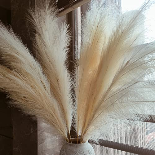 Pampas Grass Decor Tall,Pampas Grandes Florales esponjosas 8 Piezas 43/110cm,Flores de Plumas largas para arreglo de Boda Boho Sala de Estar (8 Piezas 43/110cm, Beige)