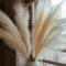 Pampas Grass Decor Tall,Pampas Grandes Florales esponjosas 8 Piezas 43/110cm,Flores de Plumas largas para arreglo de Boda Boho Sala de Estar (8 Piezas 43/110cm, Beige)