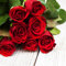 20 Servietten Rote Eleganz/Rosen/rot/Blumen/Hochzeit 33x33cm