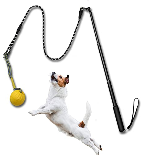 TEKCAM Reizangel Hunde,Ausziehbare Robuste Flirt Pole mit Interaktives Denkspiele Hund Ball Tug Hundespielzeug,Outdoor Haustier Kauen Spielzeug füR Kleine Mittlere GroßE Hundetraining