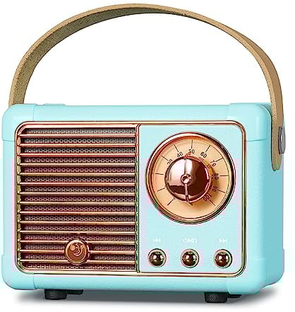 prunus J-999 Mini Retro Bluetooth Speaker with FM Radio, Rechargeable, Bluetooth 5.0/Superior Sound, USB/TF/AUX/Hands-Free Calls (Blue)