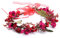 Blume Krone,Haar Garland,Blumenkranz,Blumenkranz Haare,Blumenkranz Blume Krone Stirnband,StirnBand,Braut,Haarband Blumen Hochzeit (F)