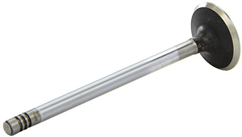 AE V95042 Einlaßventil