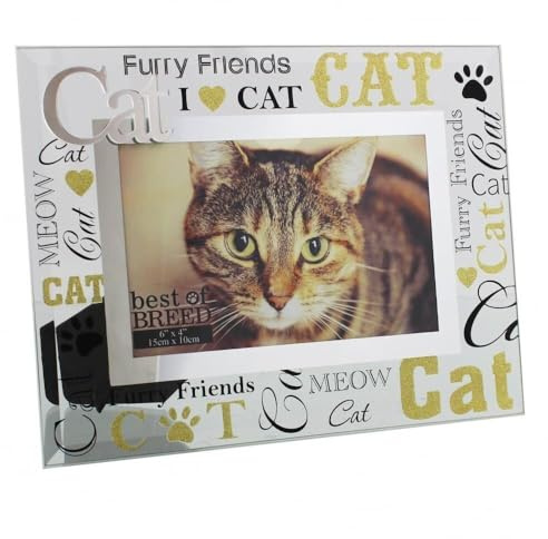 Best of Breed BB248 Glass Photo Frame 3D Words 6x4 - Cat, Gold