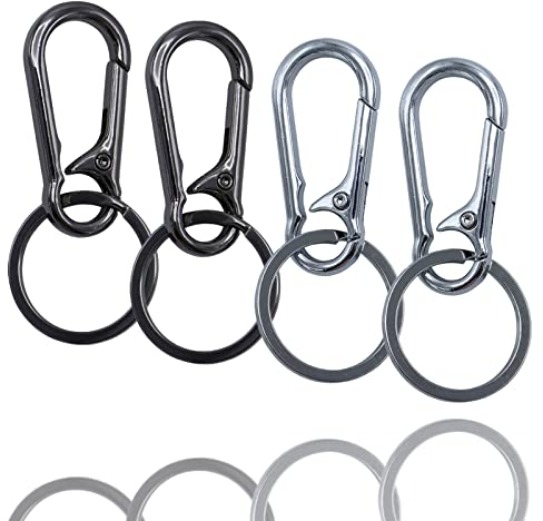 Lot de 4 – Mousqueton en métal, avec Porte-Clés Anneau, Mousqueton Amovible, Adapté pour Le Camping, La randonnée, l'alpinisme, Suspendu au Sac à Dos de Voyage, Porte-clés (Argent + Noir)