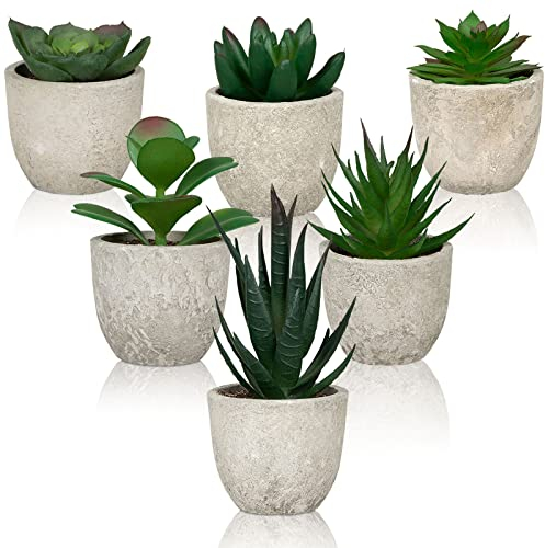 Lighterday Set di 6 piante grasse artificiali per interni, piante finte decorative in vaso, piccole piante grasse, piante finte in plastica, per ufficio, bagno, scrivania, camera da letto, decorazione