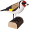 your castle Dekovogel Holzvogel Stieglitz Distelfink handgearbeitet aus Lindenholz in Geschenkbox 12 x 9cm