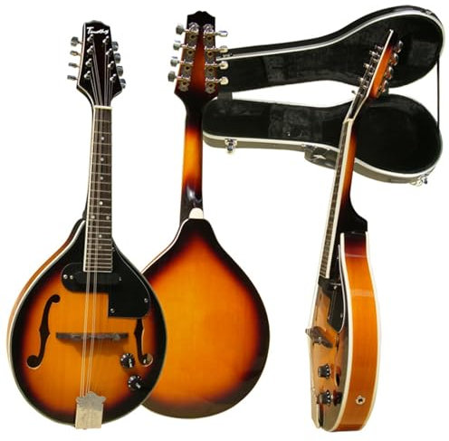 Mandolin Instrument Kit Electric Sound + All Single Mandolins Western Musical Instruments National Musical Instruments With ABS Hard Piano Case