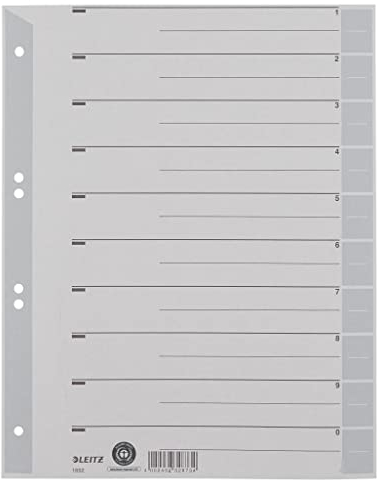 Leitz 16520085 Trennblatt, A4, Karton, farbig bedruckt, grau