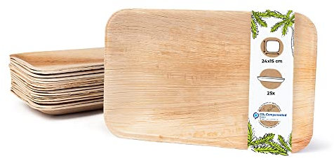 BIOZOYG Einwegteller 25 Stück 24 x 15 cm - Palmblatt Teller Wegwerfgeschirr rechteckig & kompostierbar - Einweg Partygeschirr, Alternative zu Plastiktellern